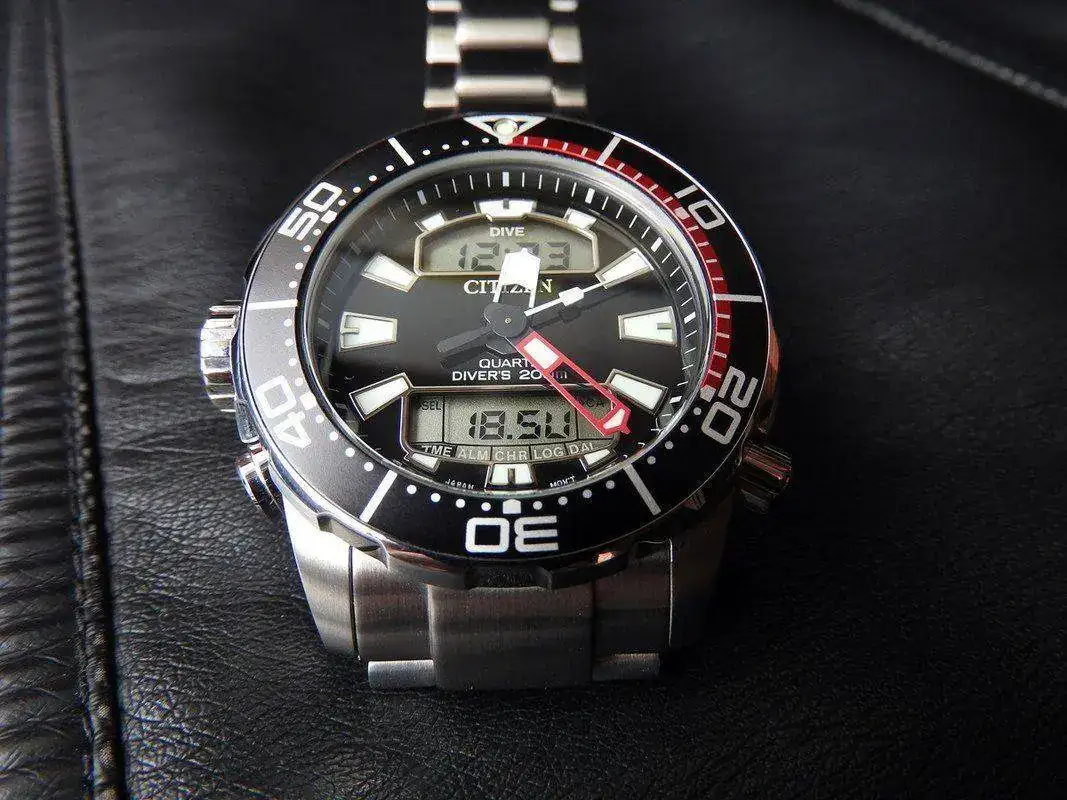 DSCN2465.webp
