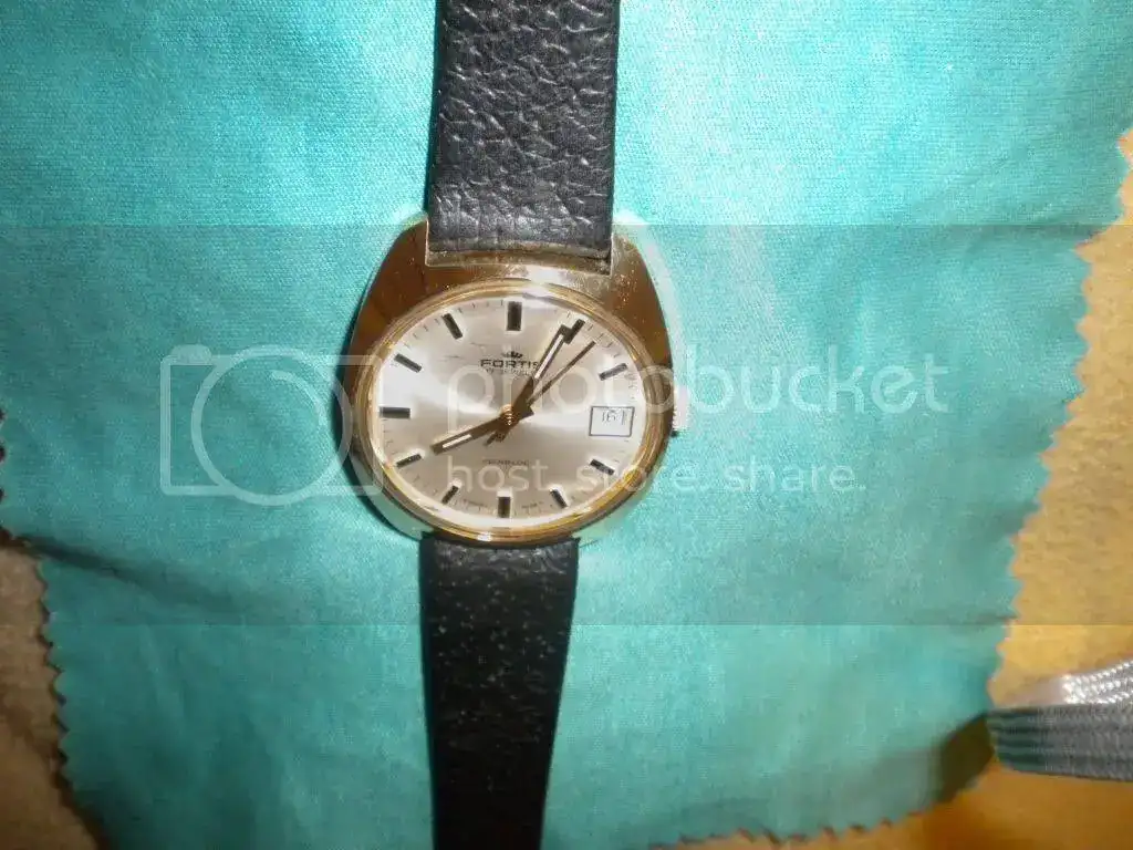 DSCN2478.webp
