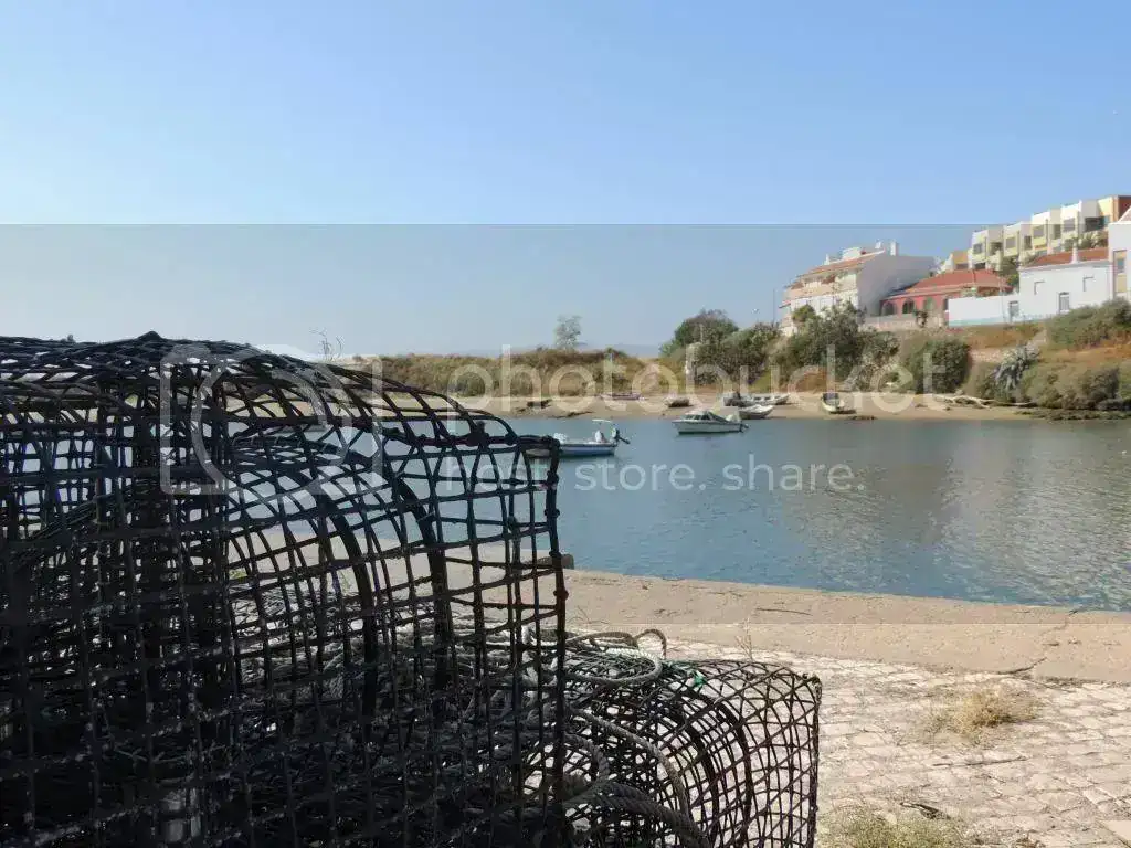 DSCN2479_zps7b757c45.webp
