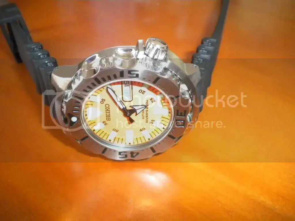 DSCN2570.webp