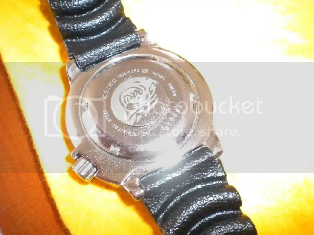 DSCN2571.webp