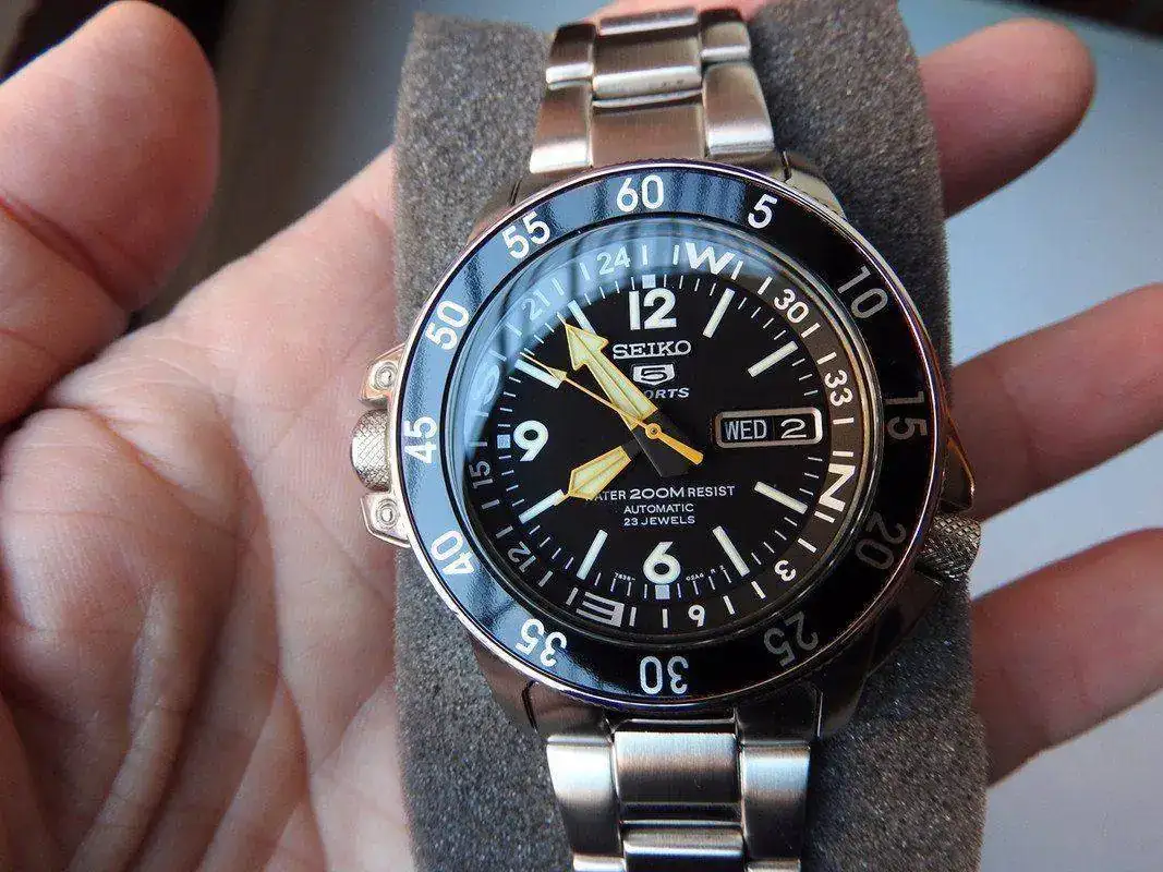 DSCN2581.webp
