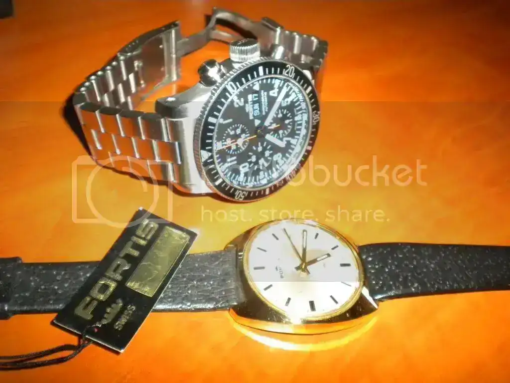 DSCN2588.webp