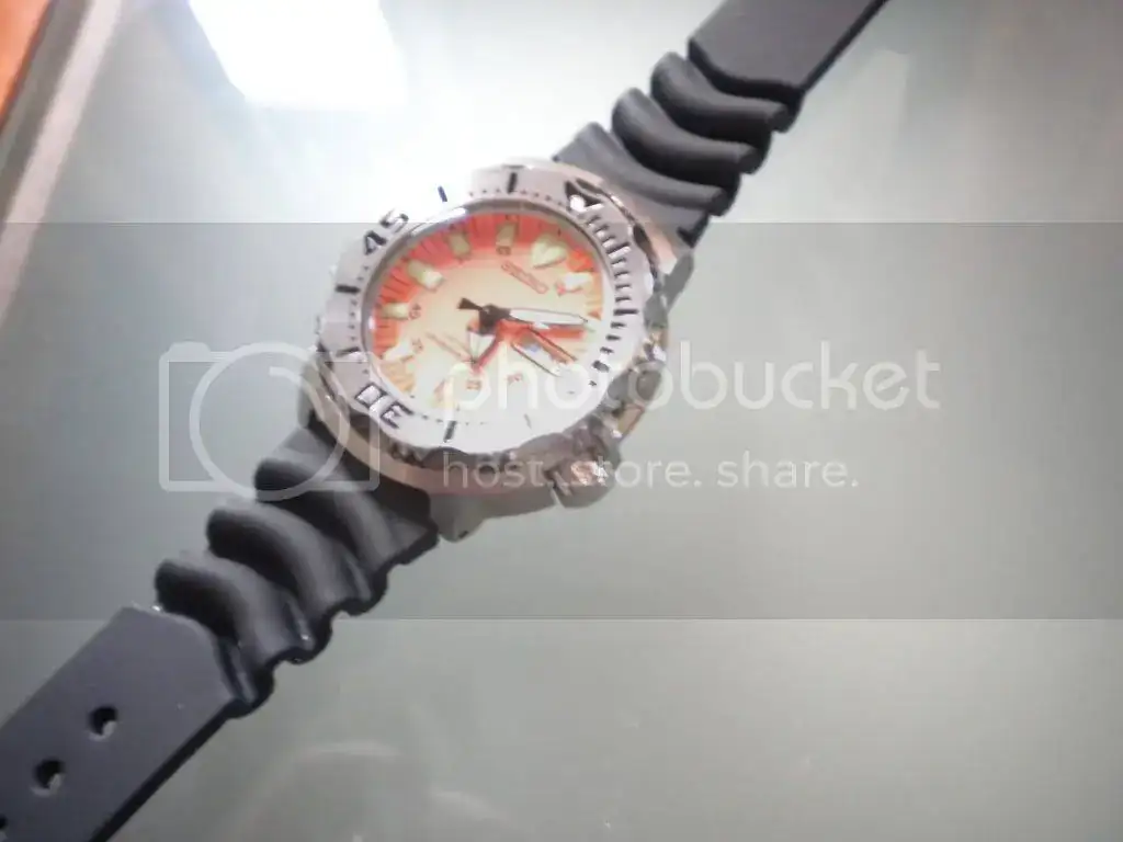 DSCN2594.webp