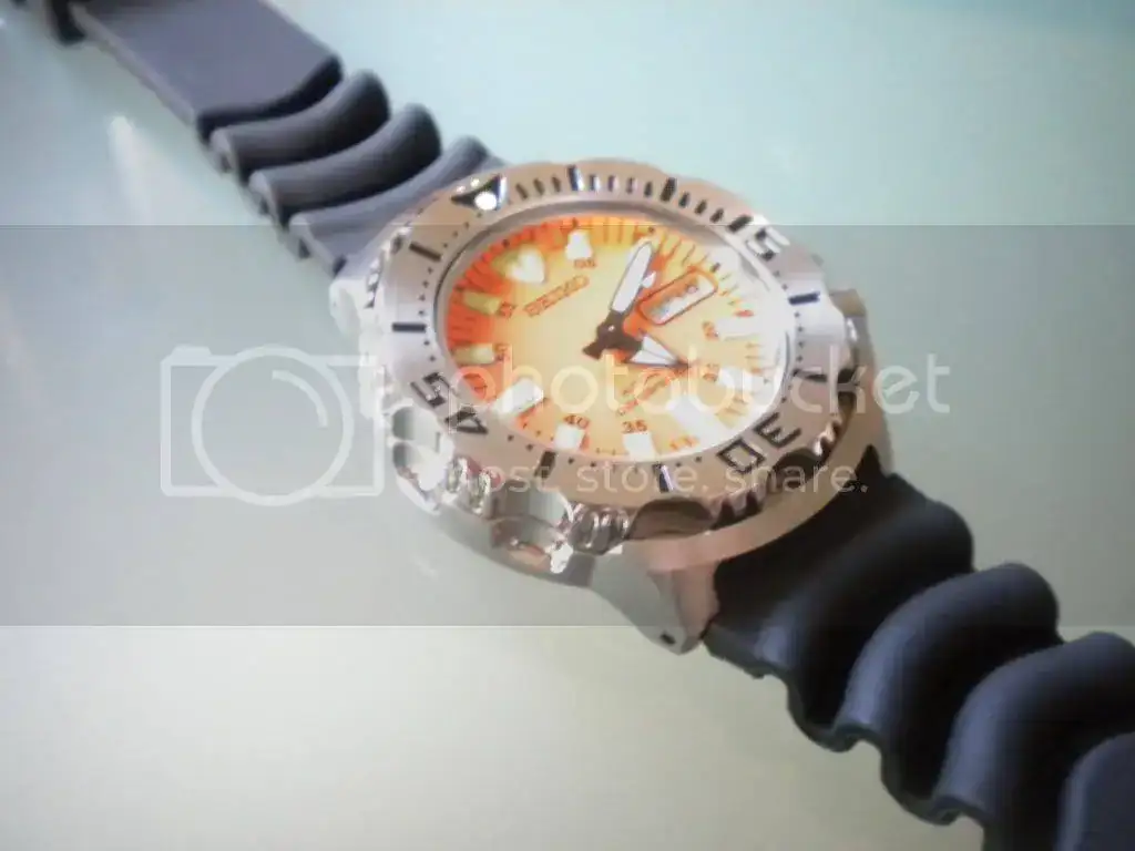DSCN2596.webp