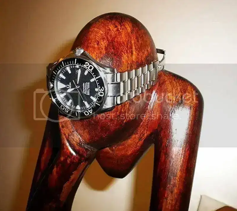 DSCN2637.webp