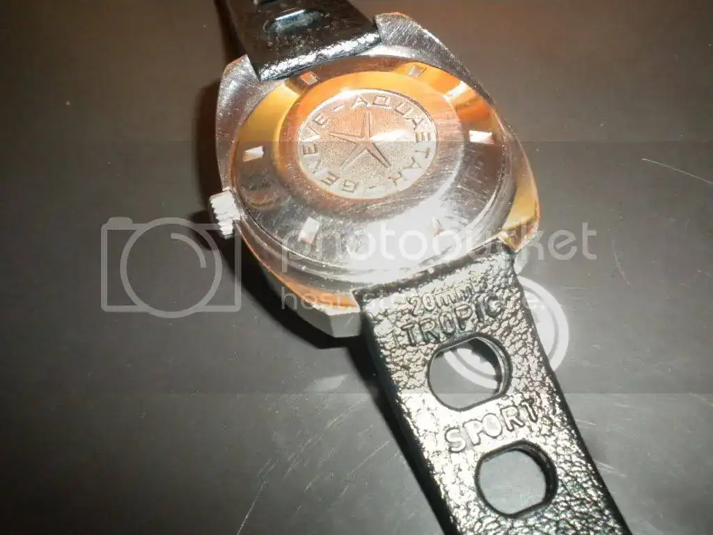 DSCN2727.webp