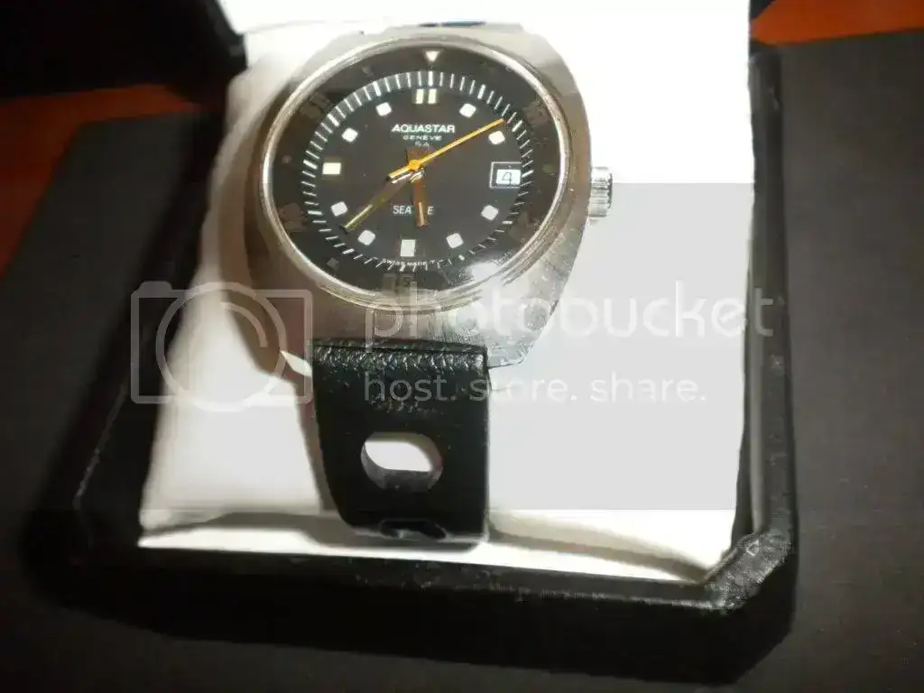DSCN2870.webp