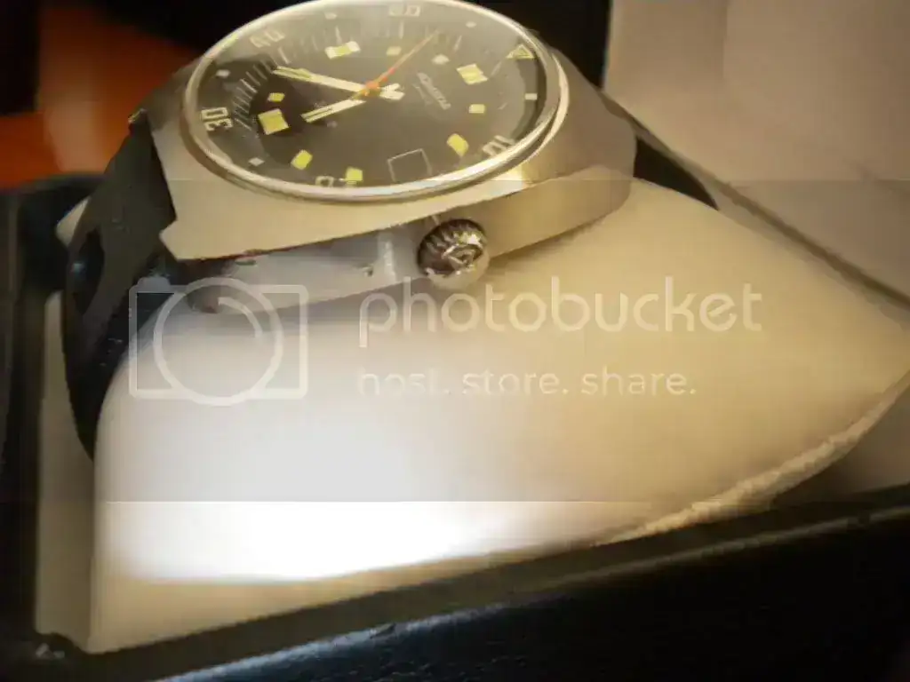 DSCN2875.webp