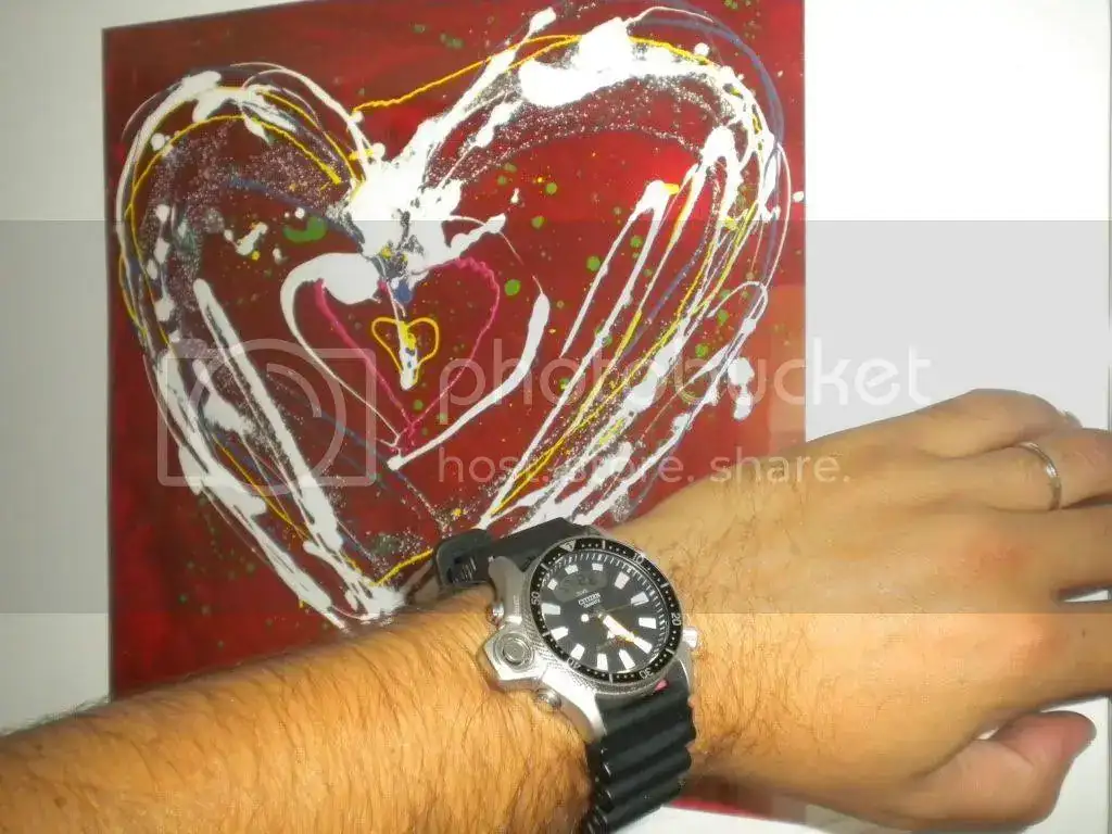 DSCN2997.webp