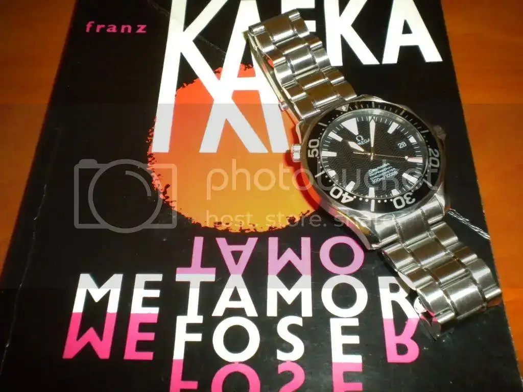 DSCN3053.webp
