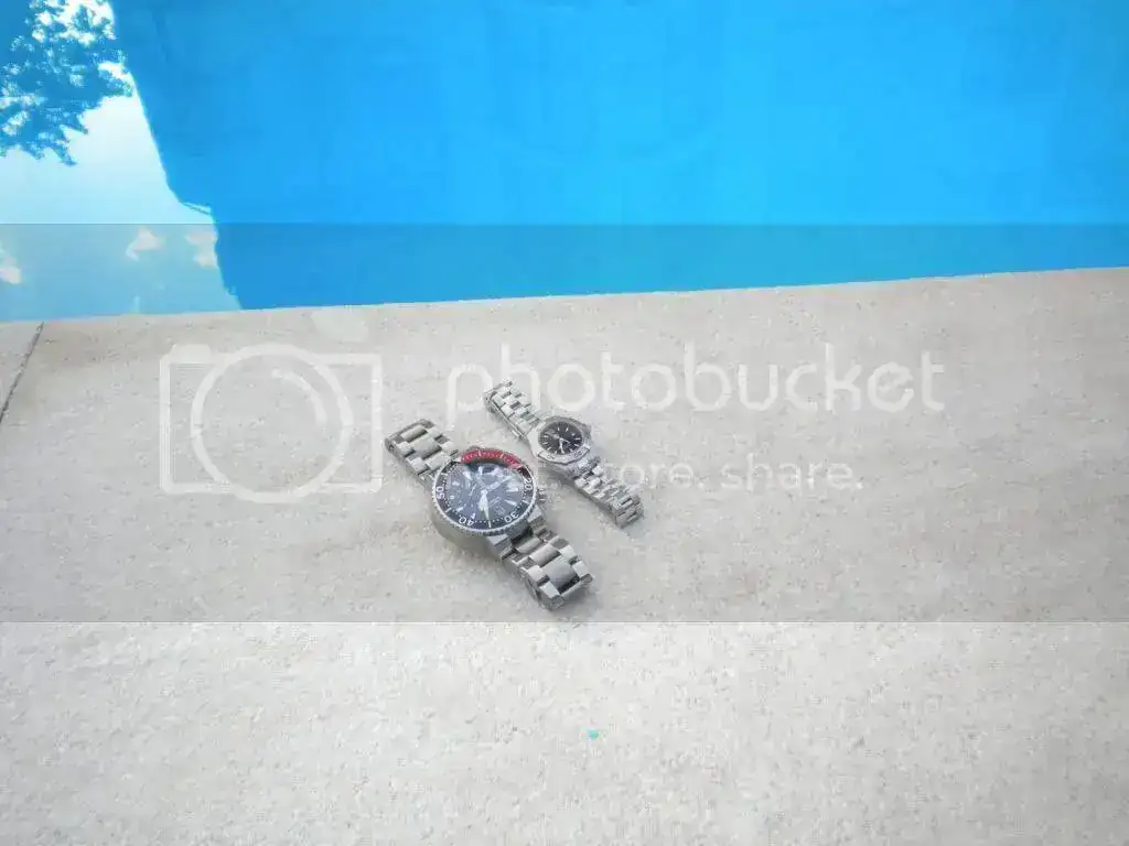 DSCN3075.webp