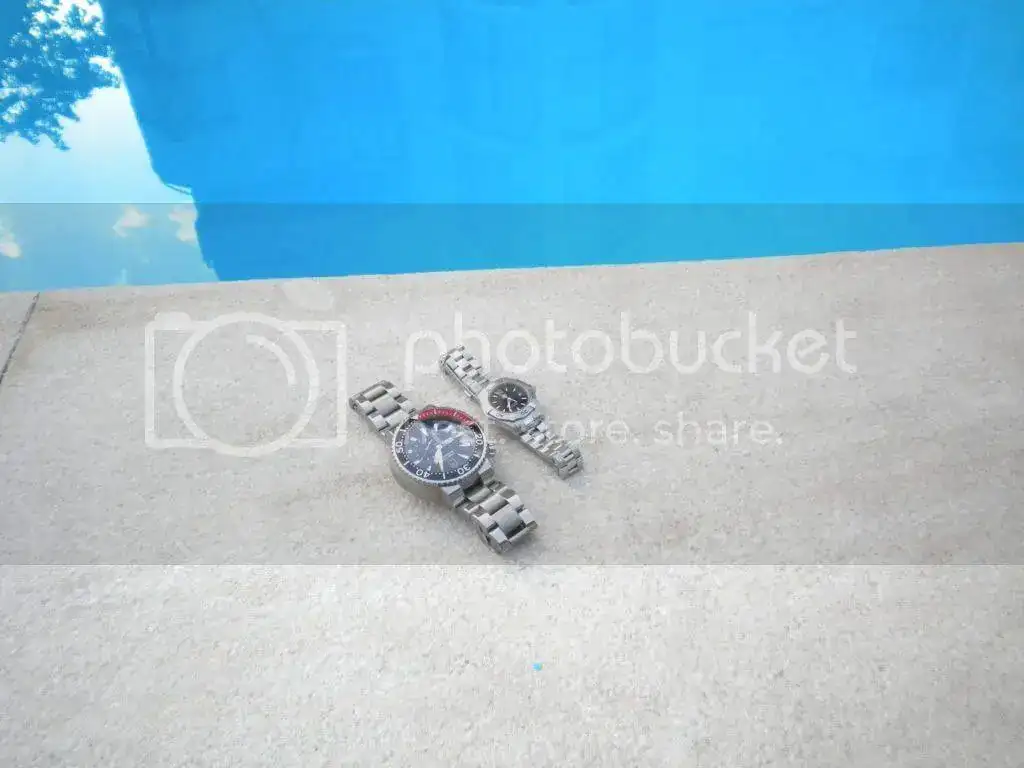 DSCN3075.webp
