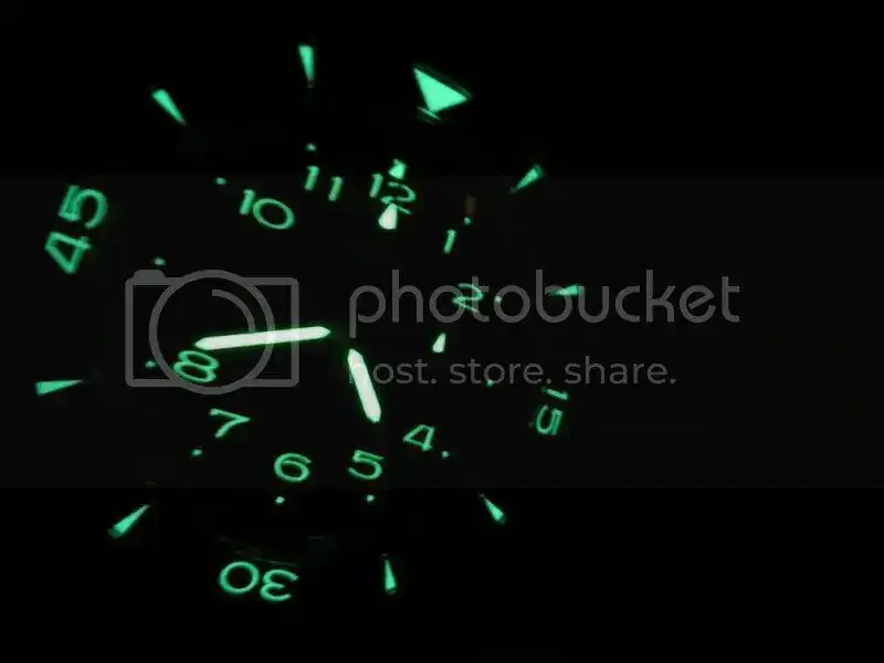 DSCN31091_zps682fd4a2.webp