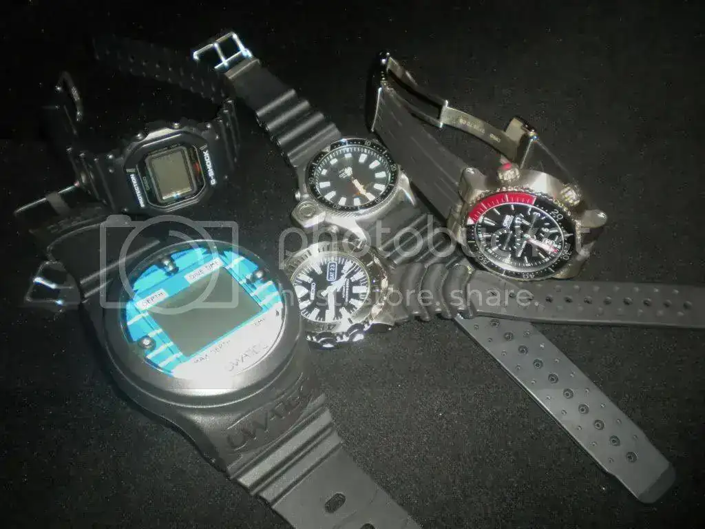 DSCN3193.webp