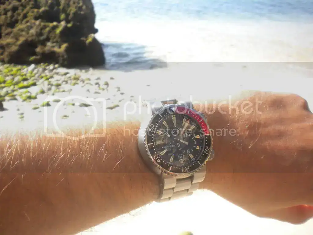 DSCN3197.webp