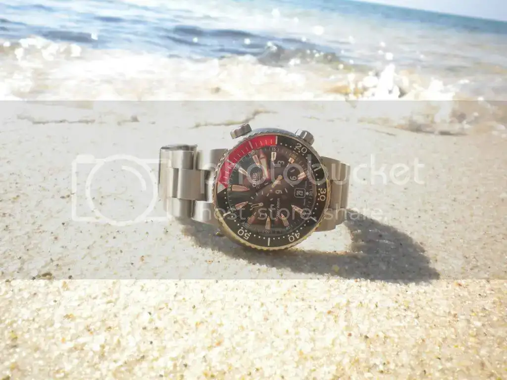 DSCN3203.webp