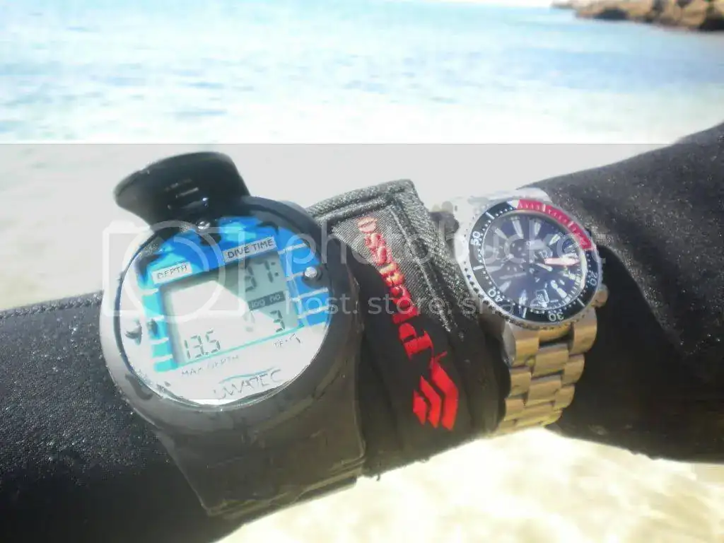 DSCN3205.webp