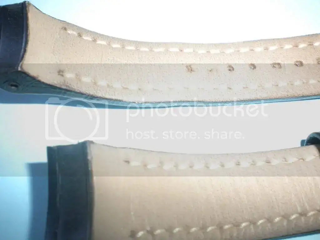 DSCN3253.webp