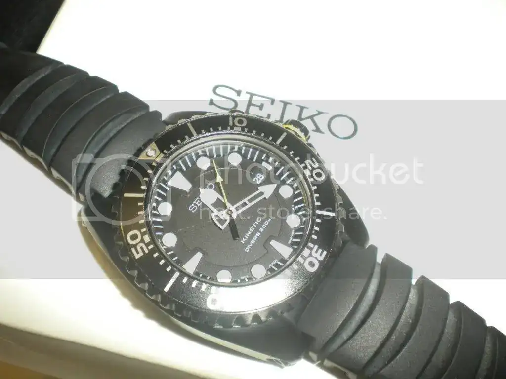 DSCN3261.webp