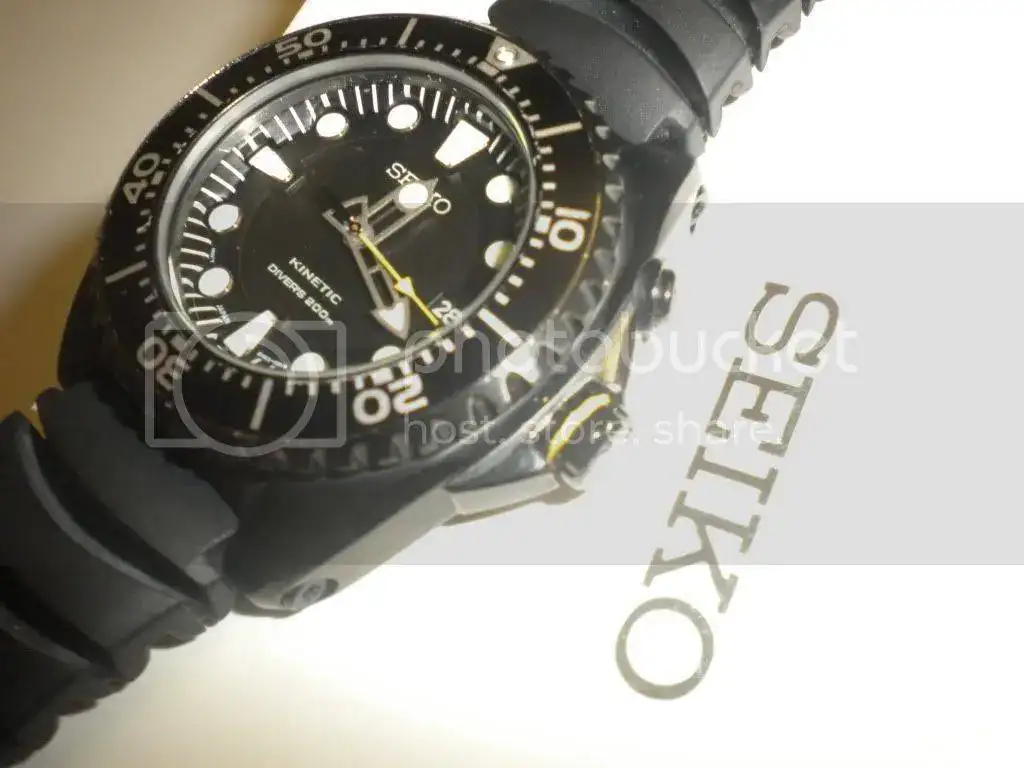 DSCN3262.webp