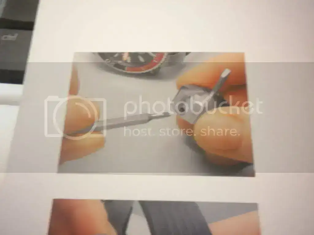 DSCN3297.webp