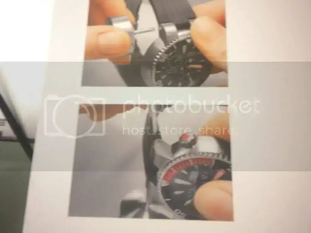 DSCN3298.webp