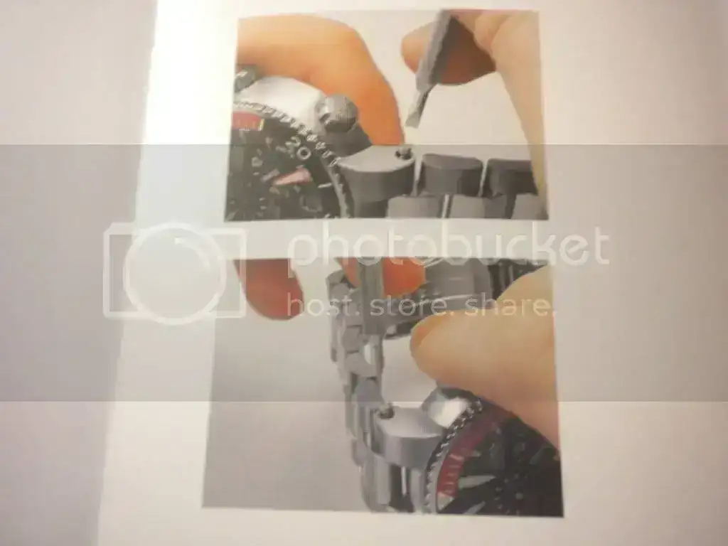 DSCN3299.webp