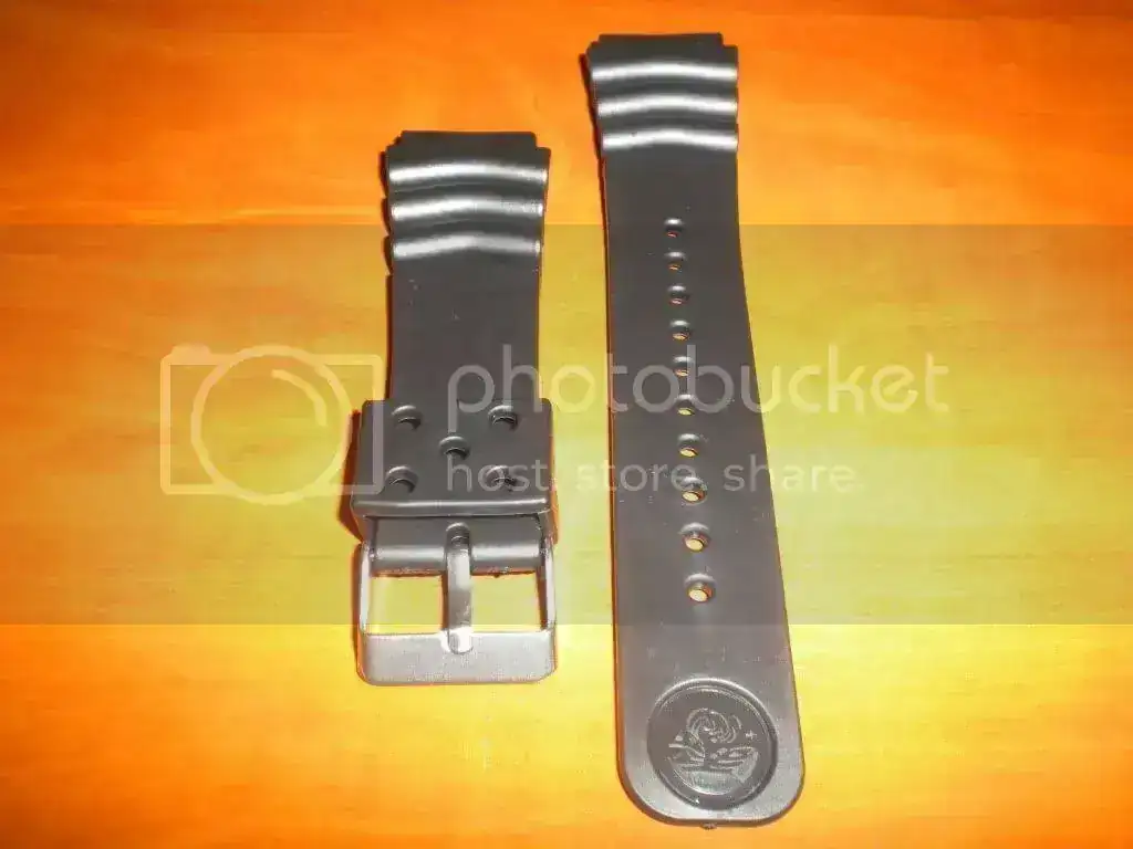 DSCN3357.webp