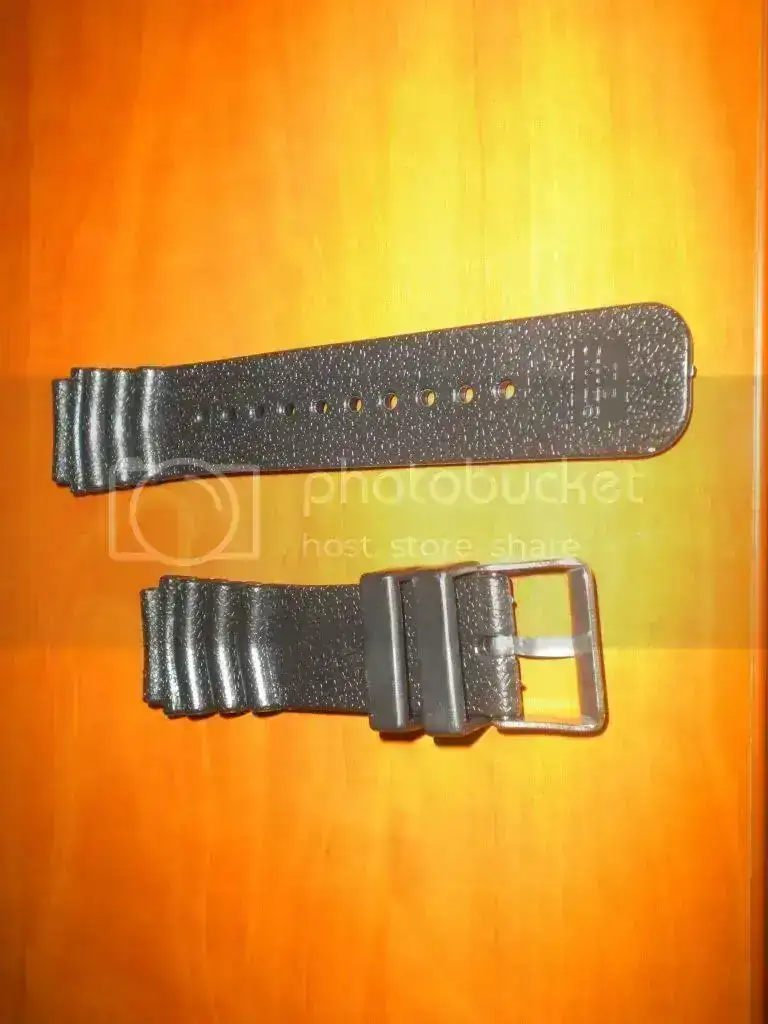 DSCN3358.webp