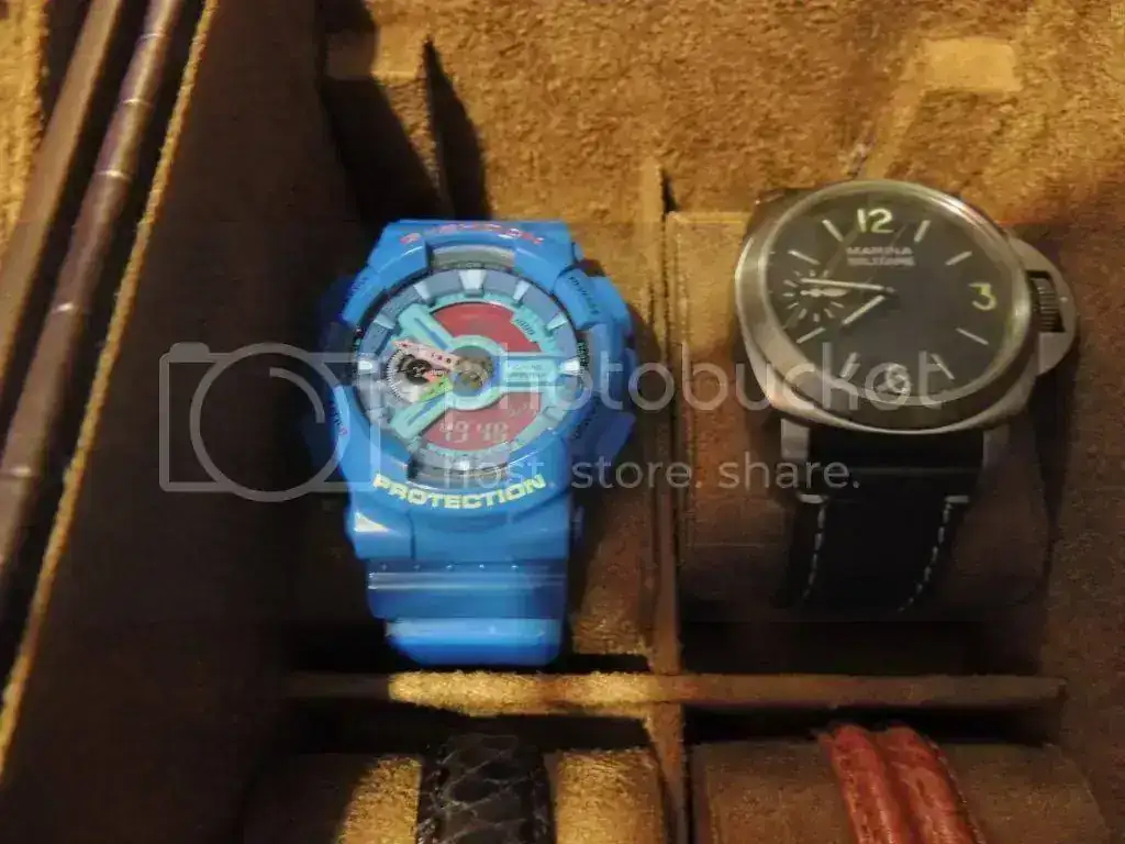 DSCN3466_zps7a768848.webp