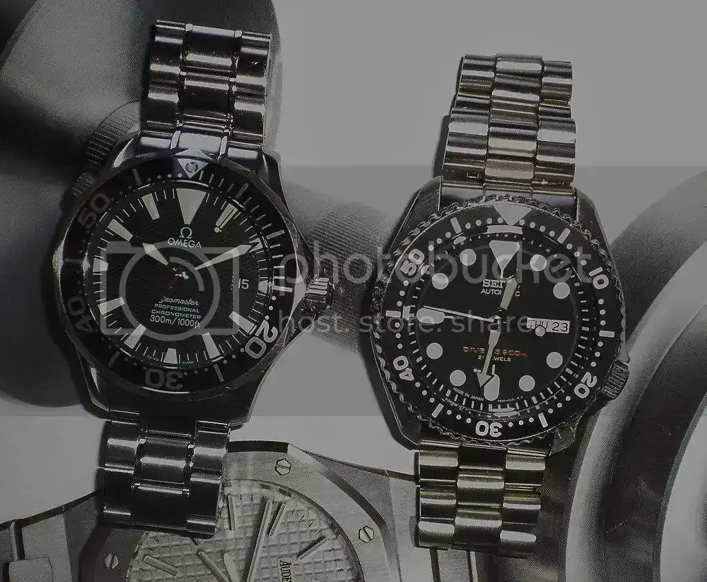 DSCN3549.webp