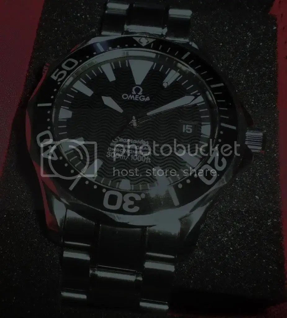 DSCN3558.webp
