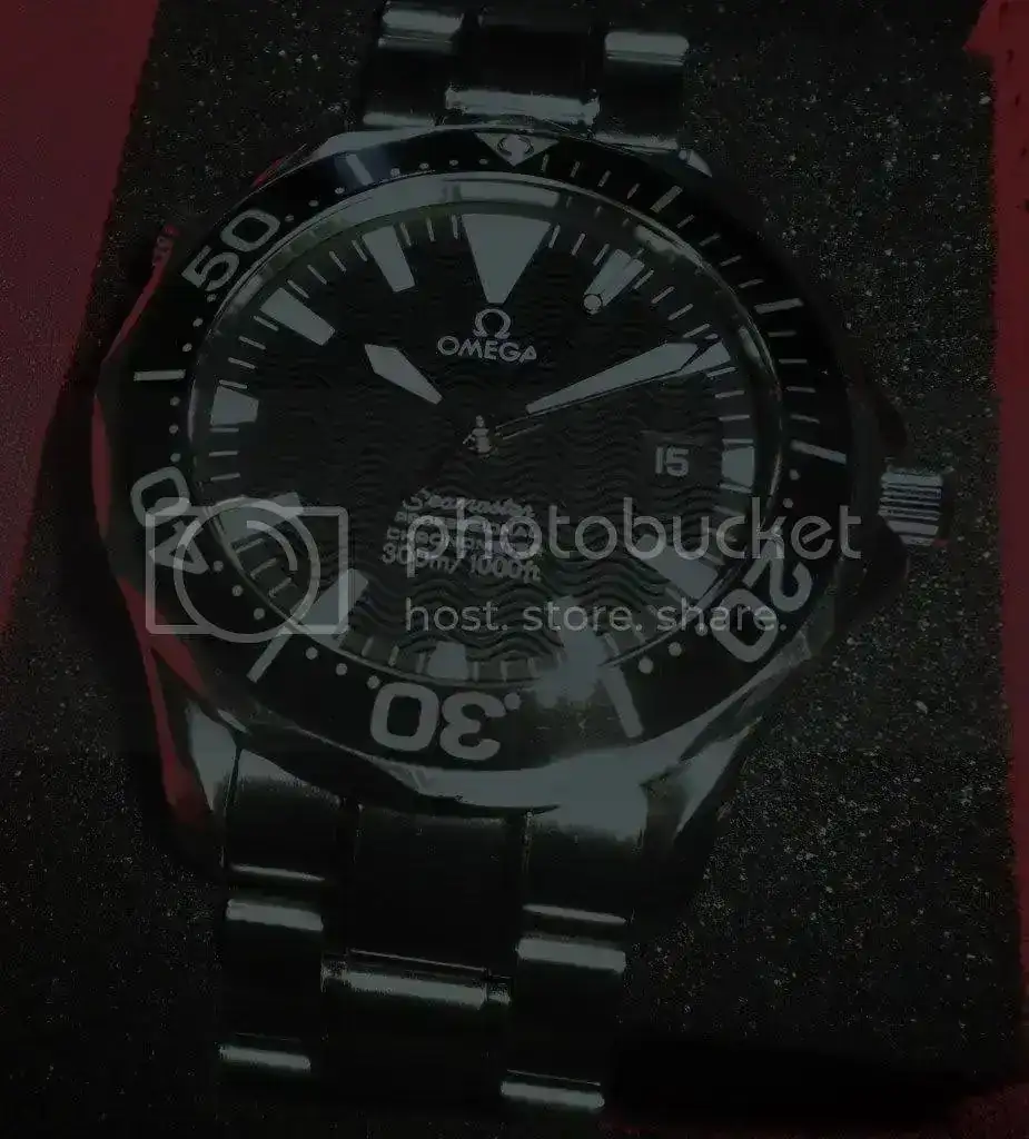 DSCN3558.webp