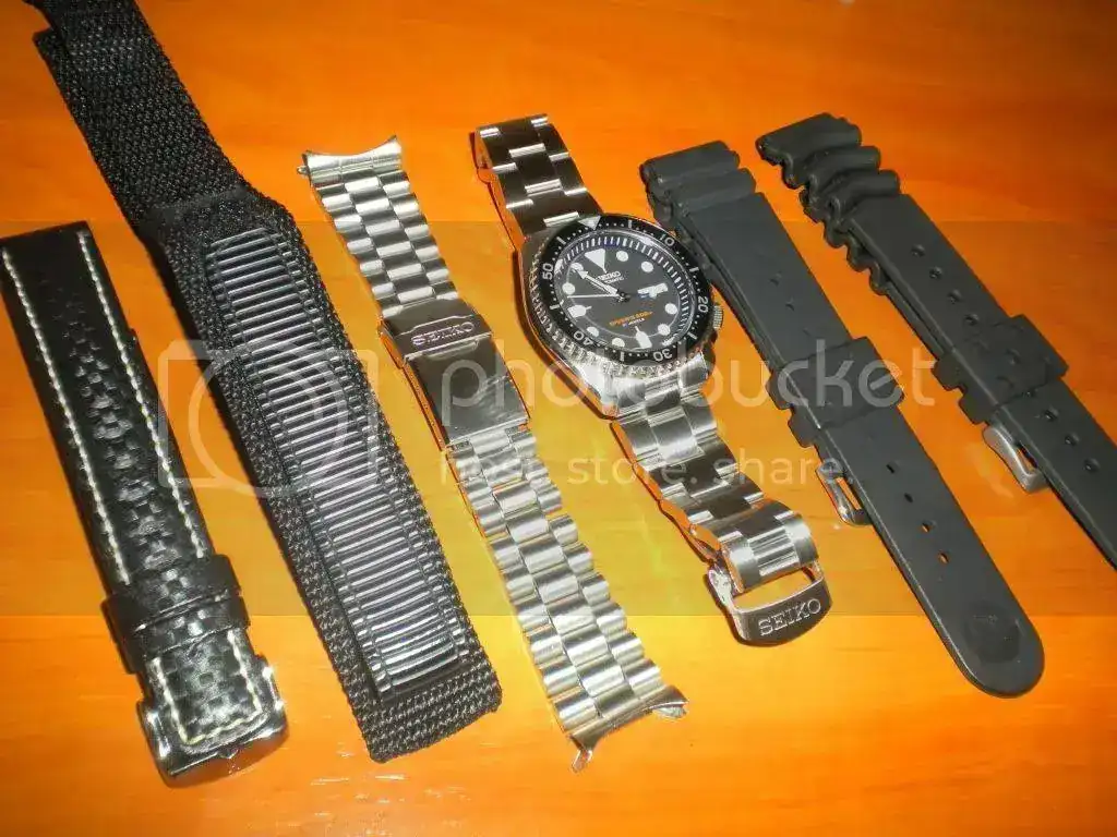 DSCN3560.webp