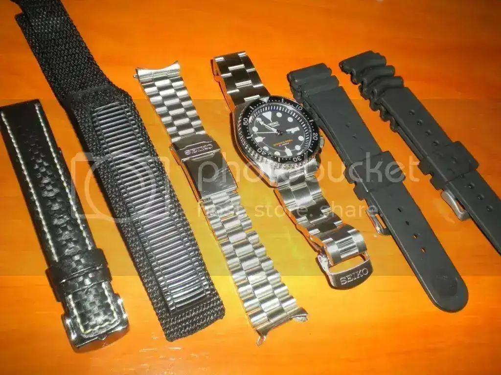 DSCN3560.webp
