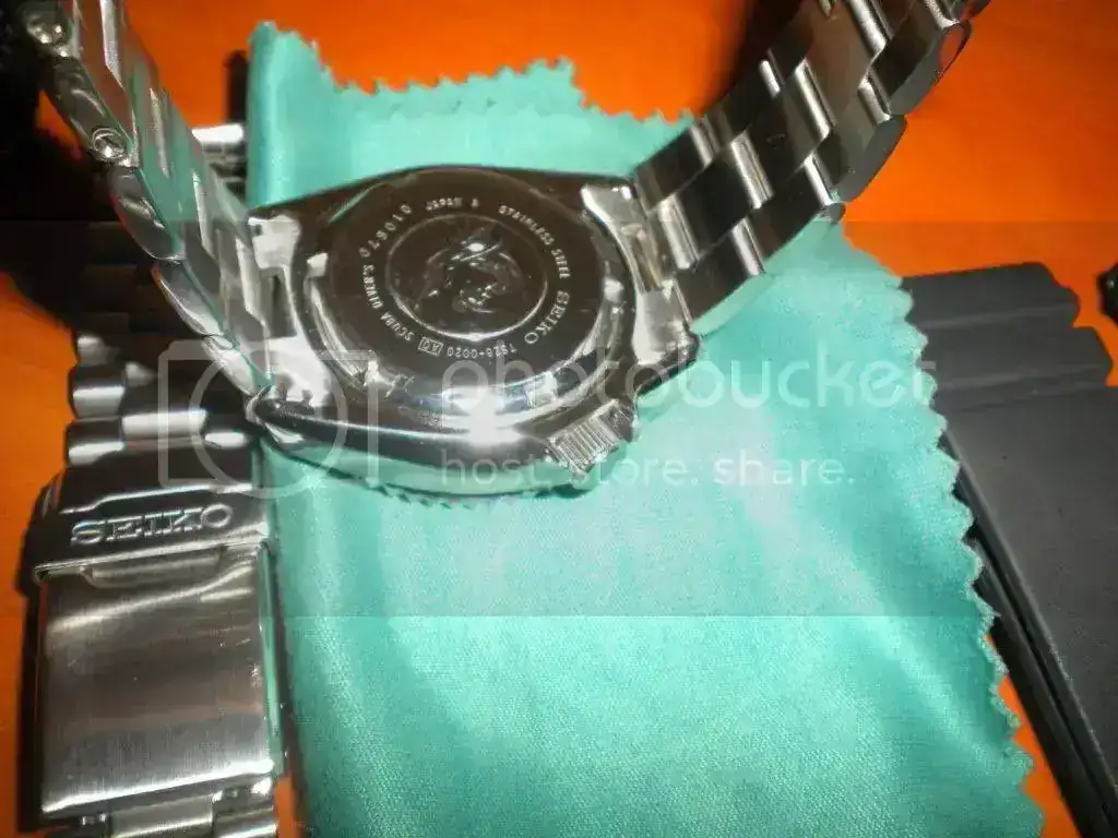 DSCN3561.webp