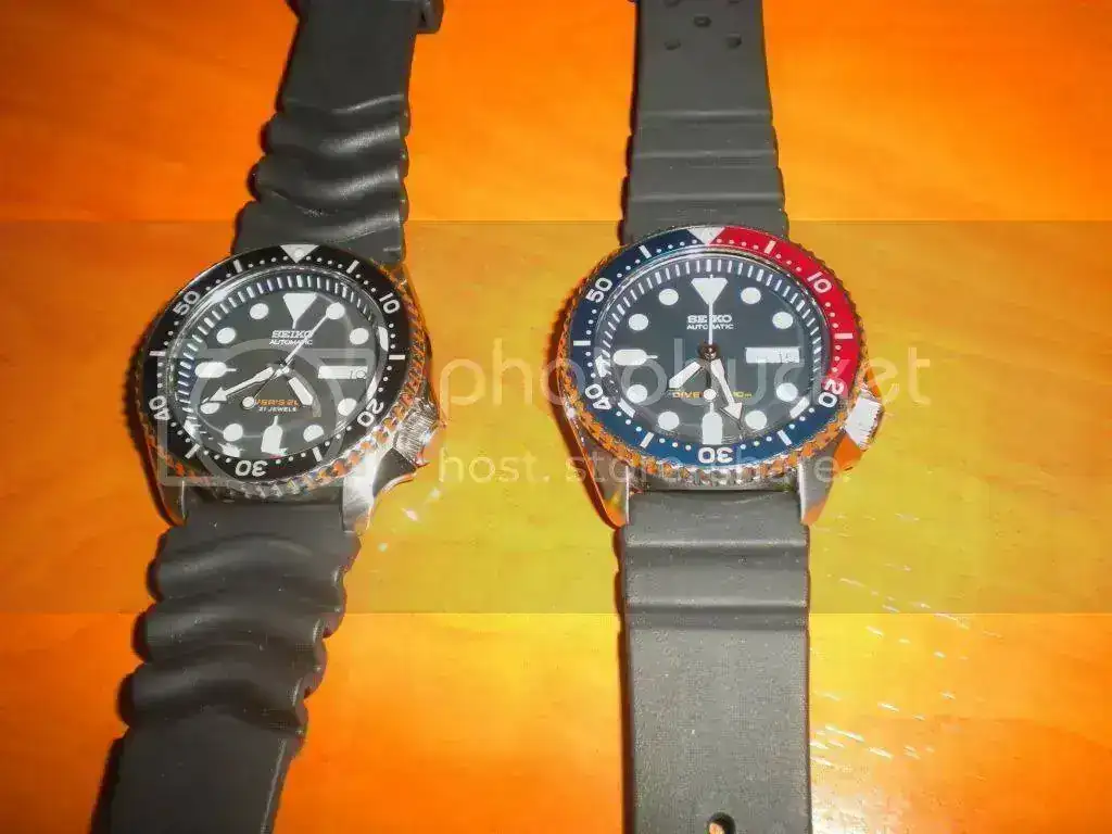 DSCN3589.webp