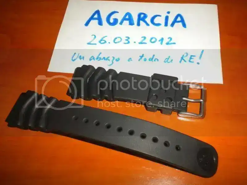 DSCN3599.webp