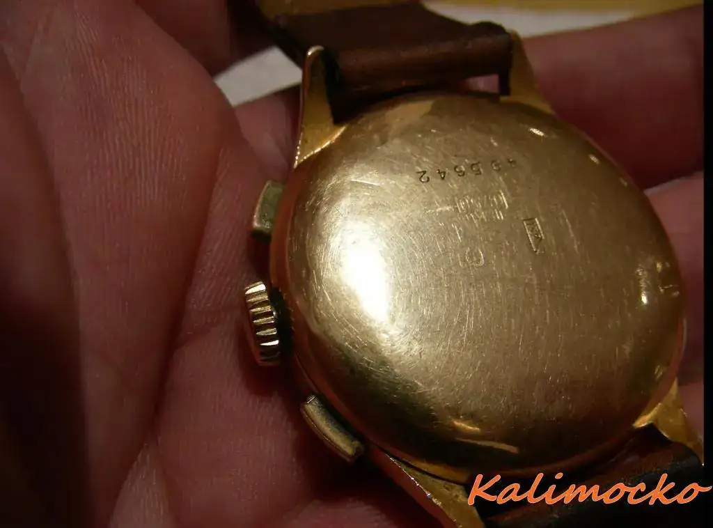 DSCN3771.webp