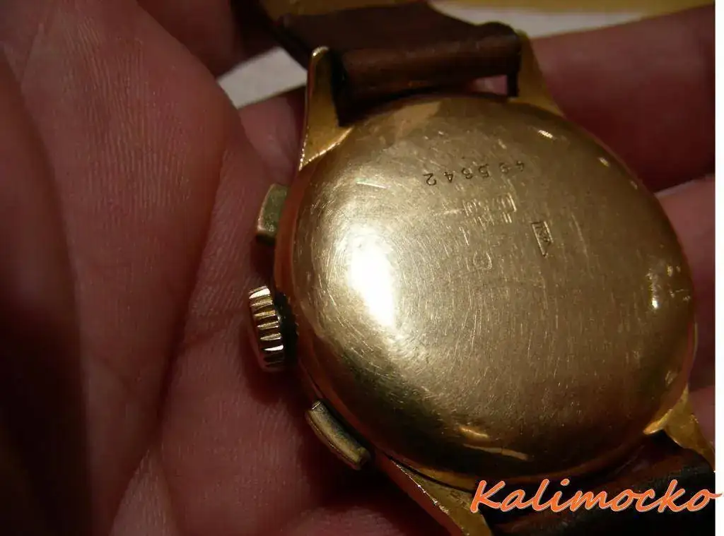 DSCN3771.webp