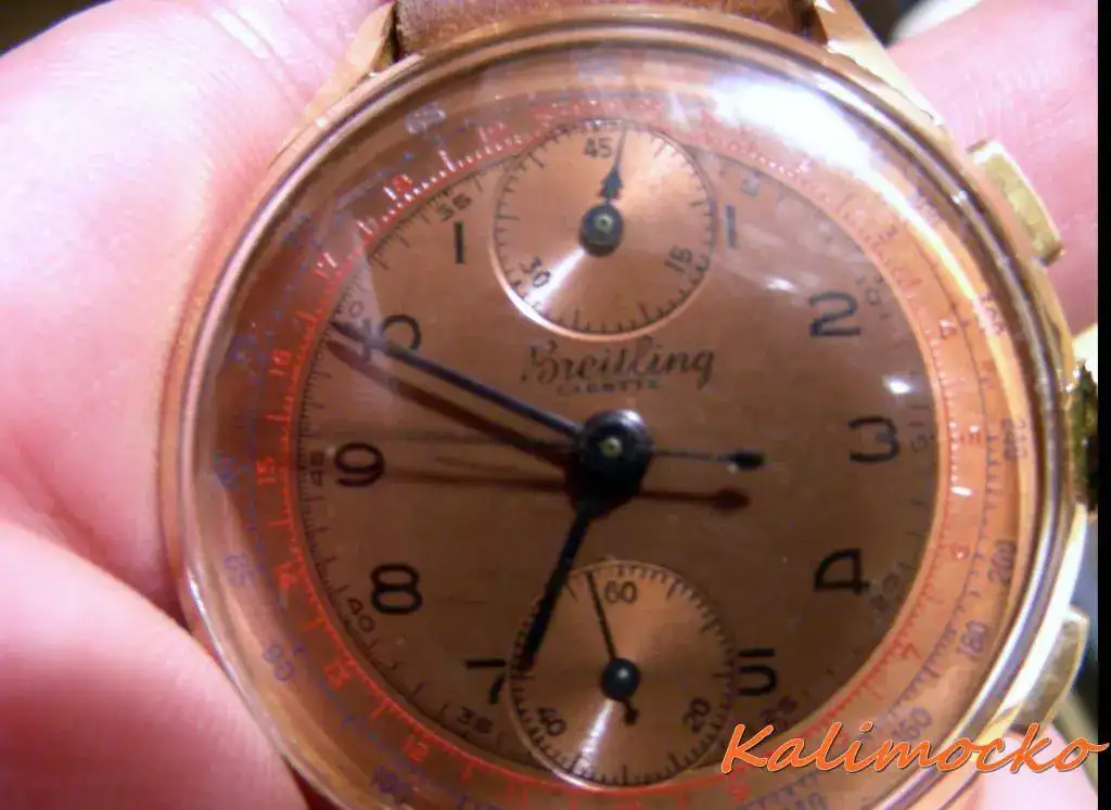DSCN3774.webp