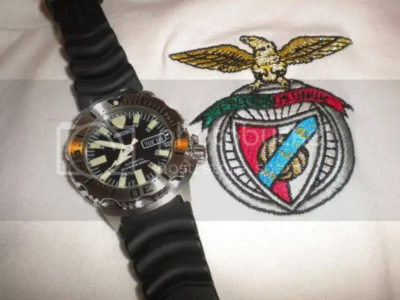 DSCN3887.webp