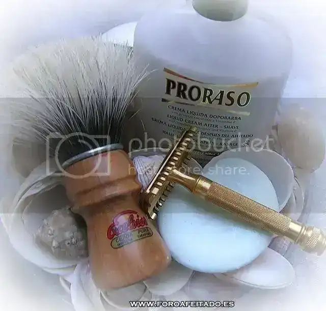 DSCN3905.webp