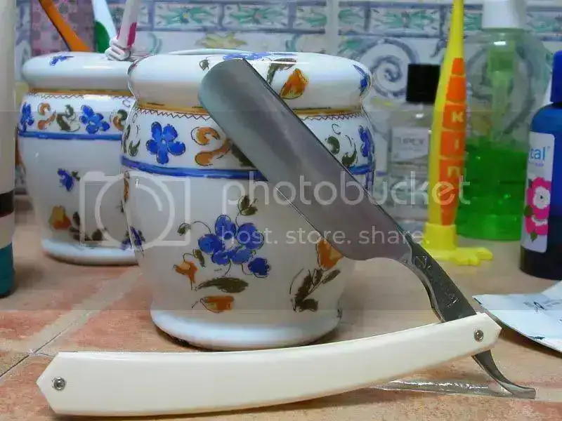 DSCN3906.webp