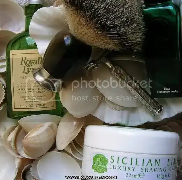 DSCN3936.webp