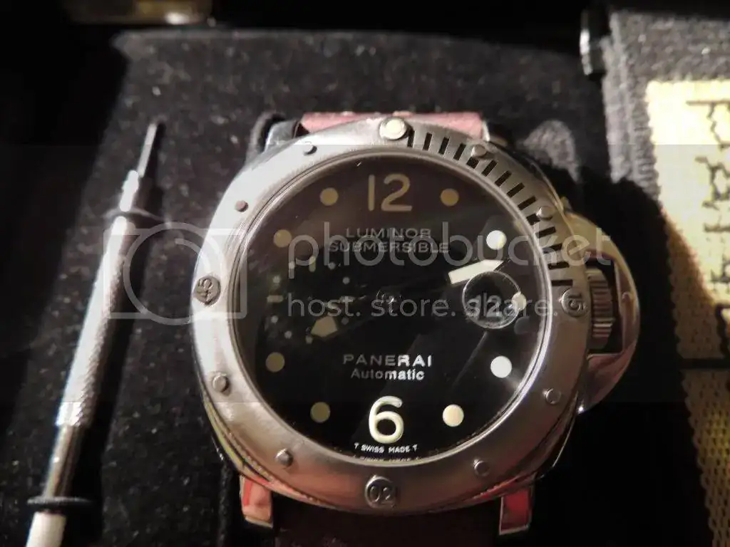 DSCN3948_zps155f7393.webp
