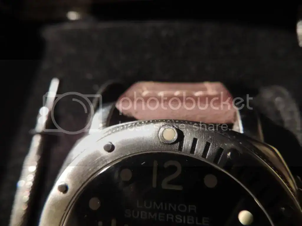 DSCN3950_zps38616cd8.webp