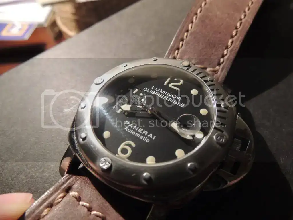 DSCN3963_zpsf14d43cc.webp