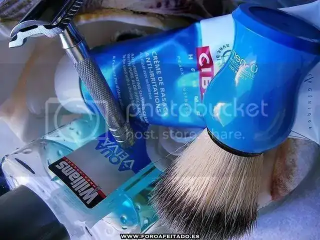 DSCN3990.webp